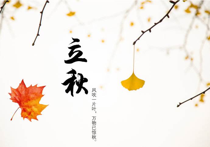 今日立秋，青島瑞普特分享立秋小知識