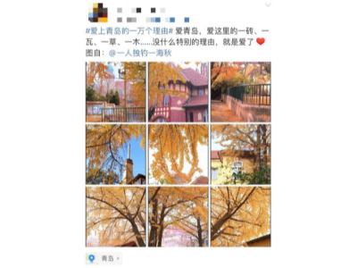 愛上青島的一萬個(gè)理由，熱交換器廠家青島瑞普特算一個(gè)